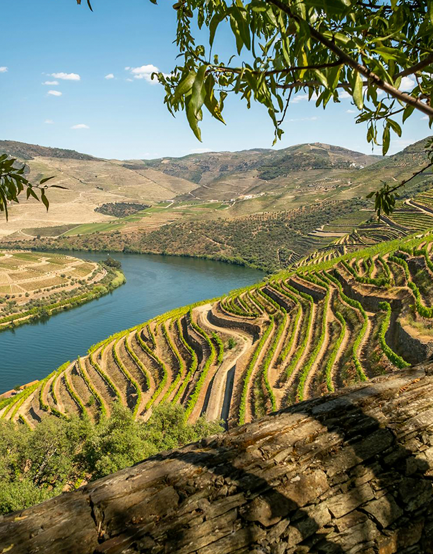 PORTO E DOURO